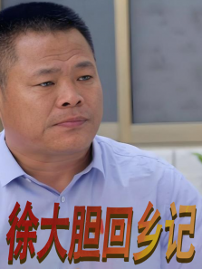 徐大胆回乡记电影海报