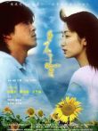 停不了的爱（2002）电影海报