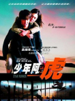 少年阿虎电影海报