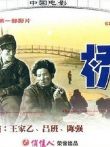 桥电影海报