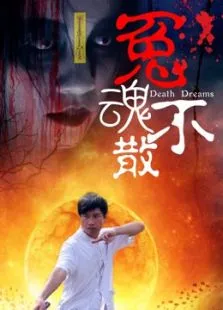 冤魂不散电影海报