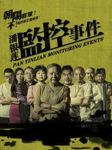 潘银莲监控事件电影海报