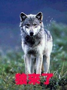 �������ڵ�