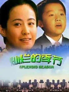 灿烂的季节电影海报