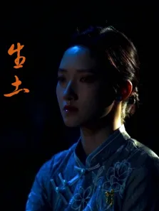 生土电影海报