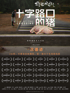 ����ר����Ȩ