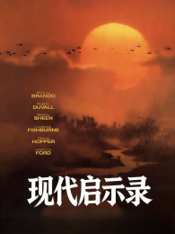 �ִ���ʾ¼��ͨ��