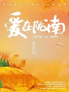 爱在陇南电影海报