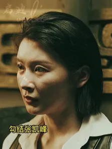 矫健的身手，谍影重重，不一般的动作片（24）电影海报