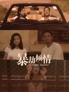 暴劫倾情（1996）电影海报