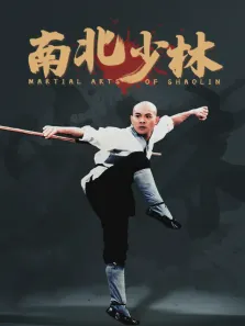南北少林电影海报