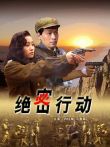 绝密行动电影海报
