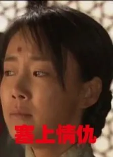 塞上情仇电影海报