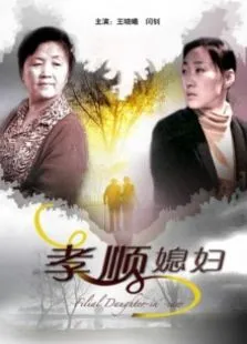 孝顺媳妇电影海报