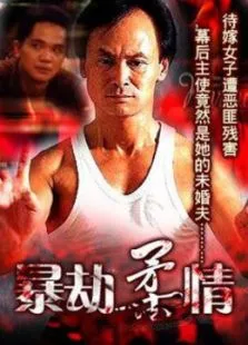 暴劫柔情电影海报