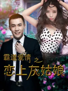 霸道爱情之恋上灰姑娘电影海报