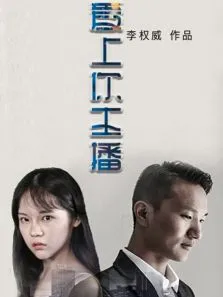 爱上你主播电影海报