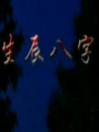 生辰八字电影海报