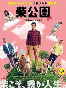 柴犬公园电影海报