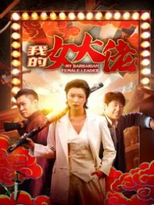 我的女大佬电影海报