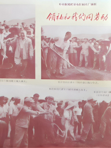 ���������ͬ�Ͷ�