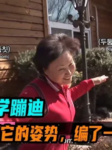 鸵鸟自学蹦迪，村民用它的姿势，编了一套广场舞电影海报