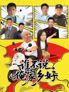 谁不说俺家乡好电影海报
