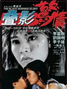 叠影惊情电影海报
