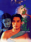 人皮灯笼电影海报