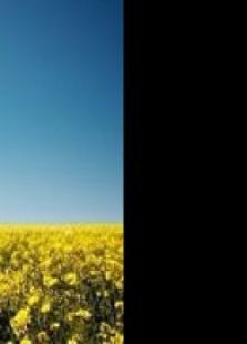 ����1884_4��14��