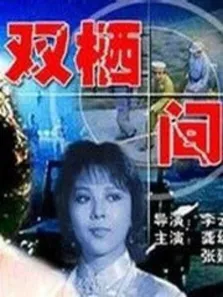 双栖间谍电影海报