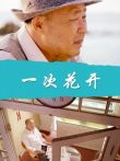 一次花开电影海报