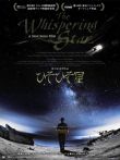 悄然之星电影海报