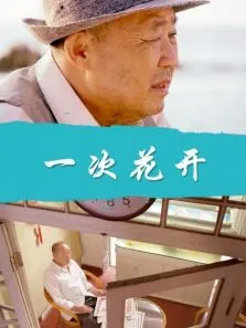 一次花开电影海报