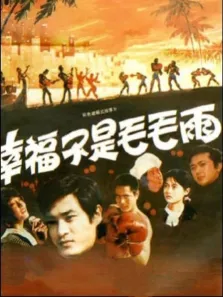 幸福不是毛毛雨电影海报