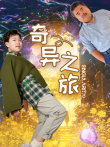 奇异之旅电影海报