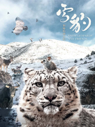 ѩ��������������