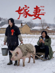 嫁妻电影海报