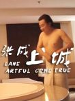 张成上城电影海报