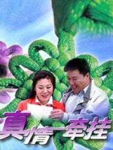 ����ǣ��