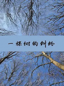 һ�����ľ���