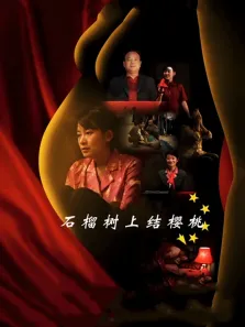 石榴树上结樱桃电影海报