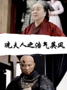 冼夫人之浩气英风电影海报