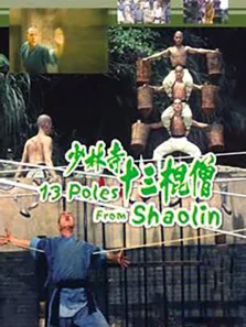 十三癫和尚电影海报