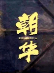 朝华电影海报