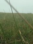 下过雨的夏天傍晚，我真的很期待电影海报
