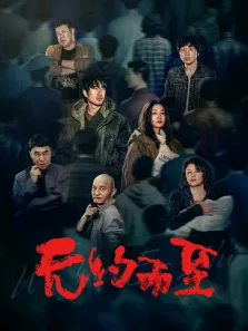 无约而至电影海报