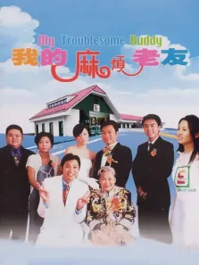 我的麻烦老友电影海报