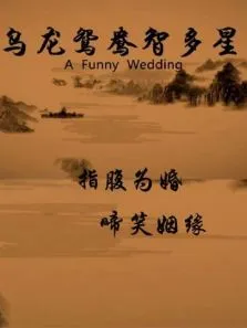 乌龙鸳鸯智多星电影海报