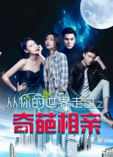从你的世界走过之奇葩相亲电影海报